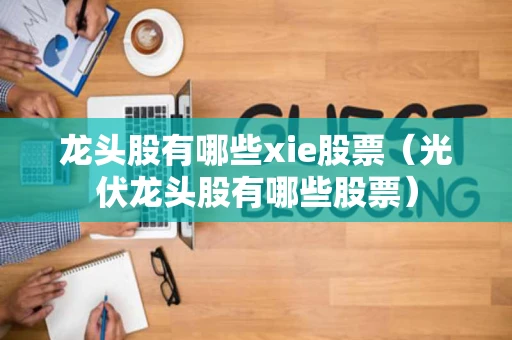 龙头股有哪些xie股票（光伏龙头股有哪些股票）