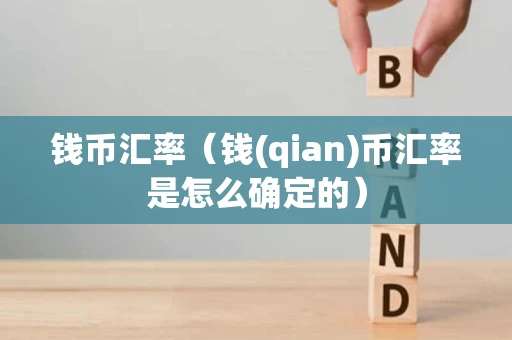 钱币汇率（钱(qian)币汇率是怎么确定的）