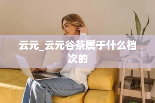 云元_云元谷茶属于什么档次的