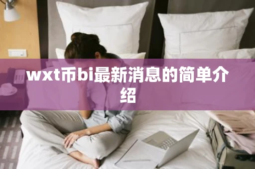wxt币bi最新消息的简单介绍