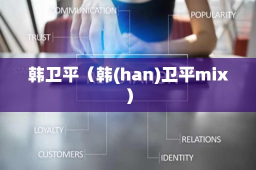 韩卫平（韩(han)卫平mix）