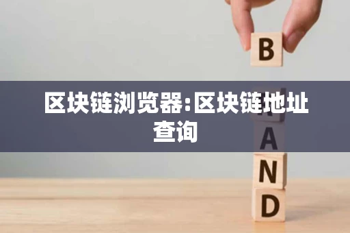 区块链浏览器:区块链地址查询