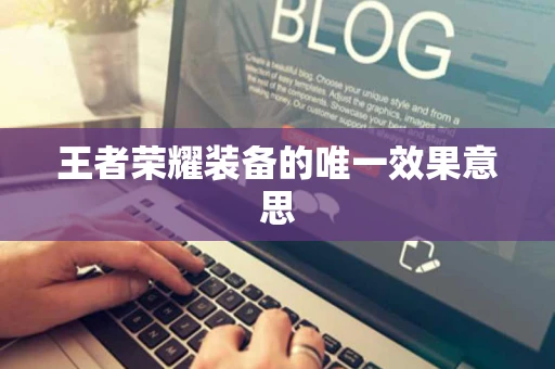 王者荣耀装备的唯一效果意思