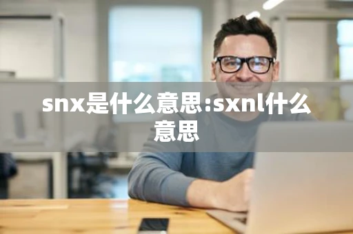 snx是什么意思:sxnl什么意思