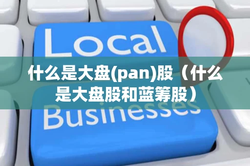 什么是大盘(pan)股（什么是大盘股和蓝筹股）