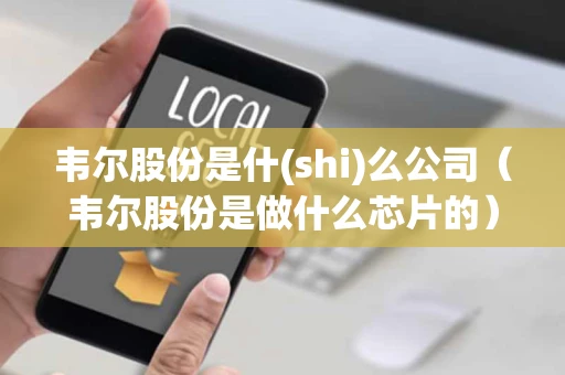 韦尔股份是什(shi)么公司（韦尔股份是做什么芯片的）