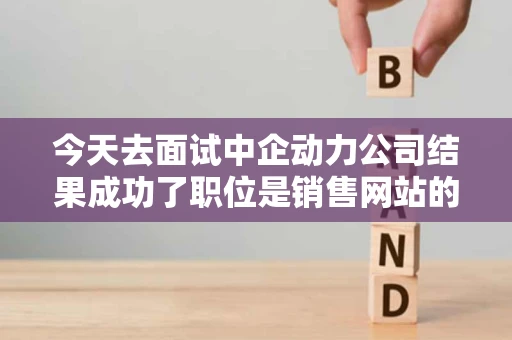 今天去面试中企动力公司结果成功了职位是销售网站的请问这个有