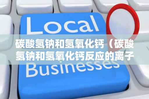 碳酸氢钠和氢氧化钙（碳酸氢钠和氢氧化钙反应的离子方程式）