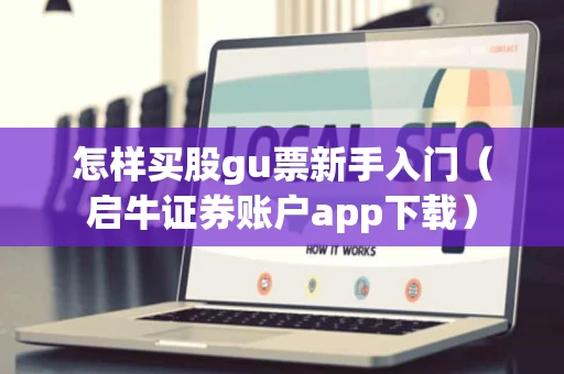 怎样买股gu票新手入门（启牛证券账户app下载）