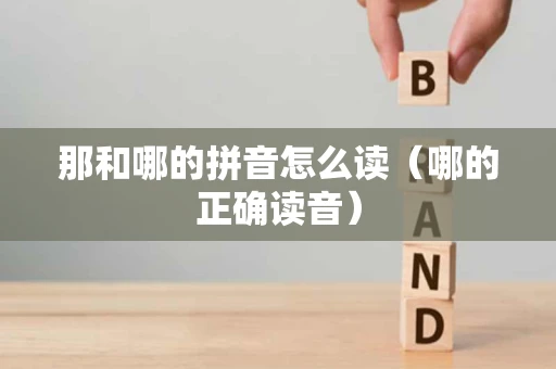 那和哪的拼音怎么读（哪的正确读音）