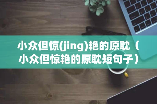 小众但惊(jing)艳的原耽（小众但惊艳的原耽短句子）