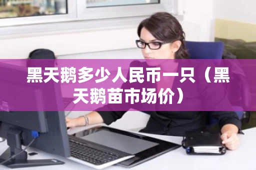 黑天鹅多少人民币一只（黑天鹅苗市场价）