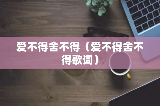爱不得舍不得（爱不得舍不得歌词）
