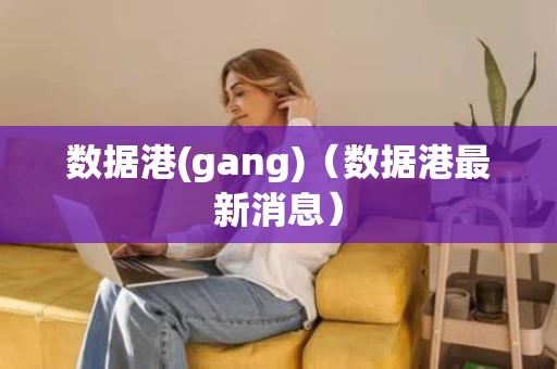 数据港(gang)（数据港最新消息）