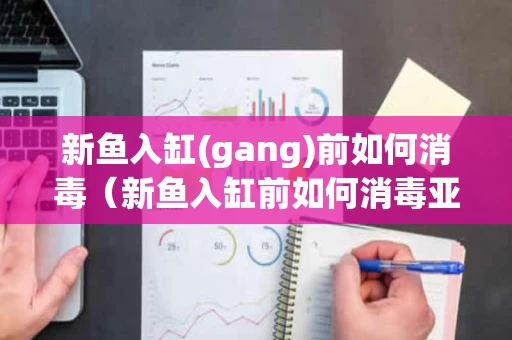 新鱼入缸(gang)前如何消毒（新鱼入缸前如何消毒亚甲基蓝）