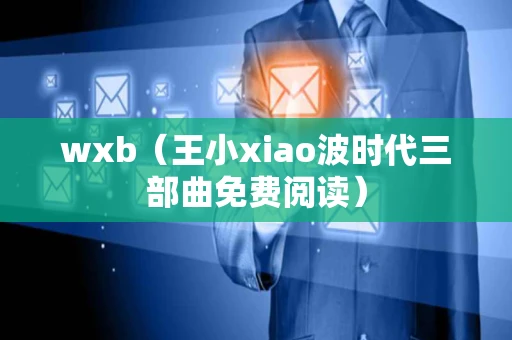 wxb（王小xiao波时代三部曲免费阅读）