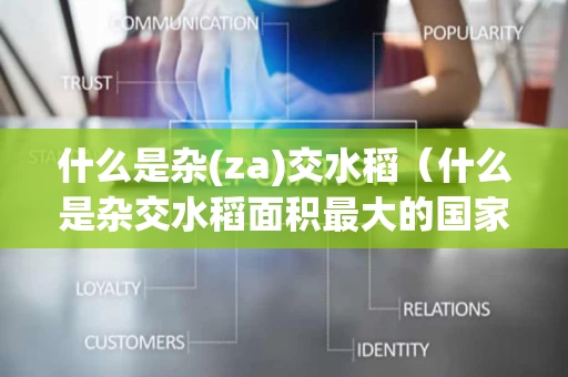 什么是杂(za)交水稻（什么是杂交水稻面积最大的国家）