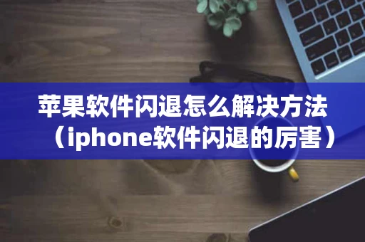 苹果软件闪退怎么解决方法（iphone软件闪退的厉害）