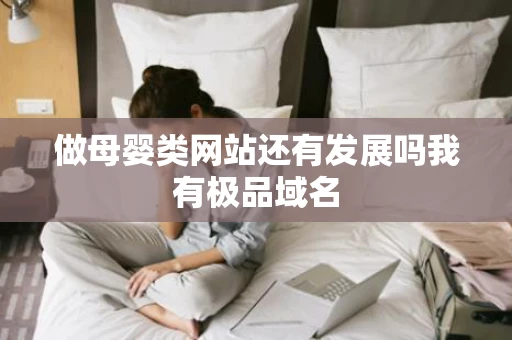 做母婴类网站还有发展吗我有极品域名