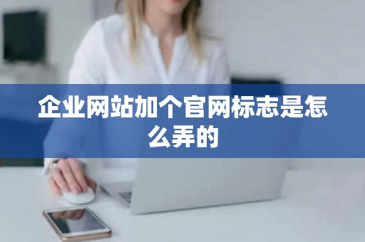 企业网站加个官网标志是怎么弄的