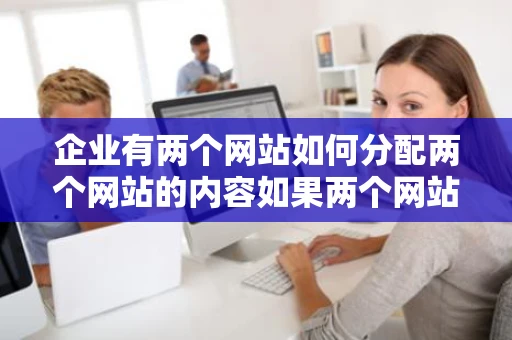 企业有两个网站如何分配两个网站的内容如果两个网站做同样的内容