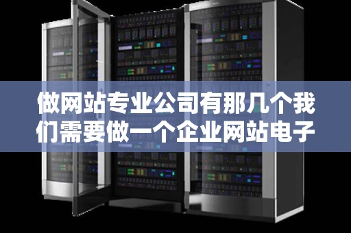 做网站专业公司有那几个我们需要做一个企业网站电子商务类