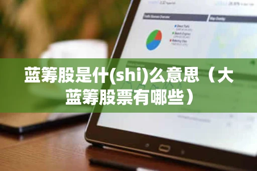 蓝筹股是什(shi)么意思（大蓝筹股票有哪些）