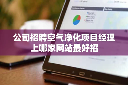 公司招聘空气净化项目经理上哪家网站最好招