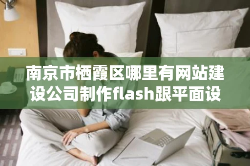 南京市栖霞区哪里有网站建设公司制作flash跟平面设计LOGO的或者