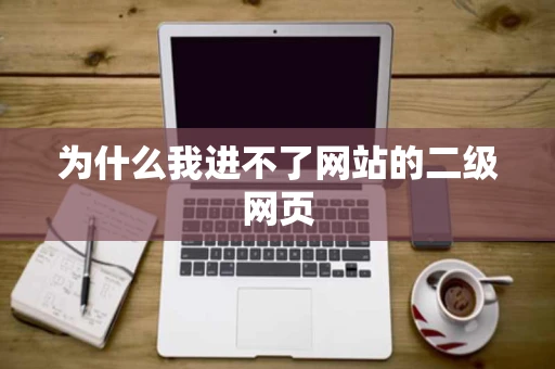 为什么我进不了网站的二级网页