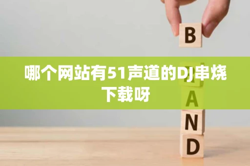 哪个网站有51声道的DJ串烧下载呀
