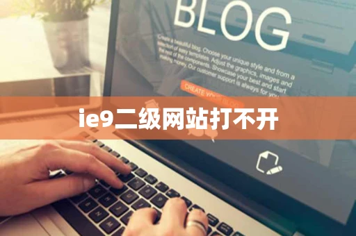 ie9二级网站打不开