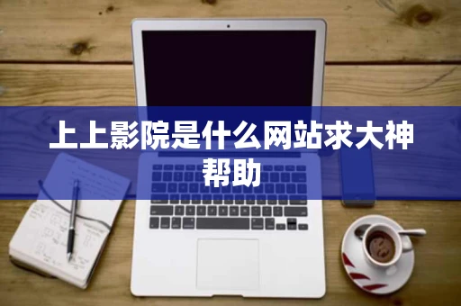 上上影院是什么网站求大神帮助