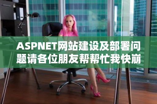 ASPNET网站建设及部署问题请各位朋友帮帮忙我快崩溃了