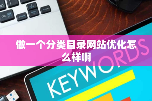 做一个分类目录网站优化怎么样啊