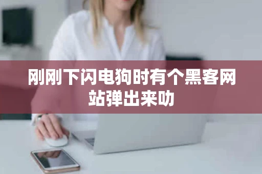 刚刚下闪电狗时有个黑客网站弹出来叻