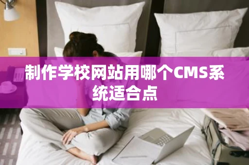制作学校网站用哪个CMS系统适合点