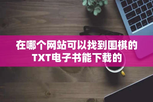 在哪个网站可以找到围棋的TXT电子书能下载的