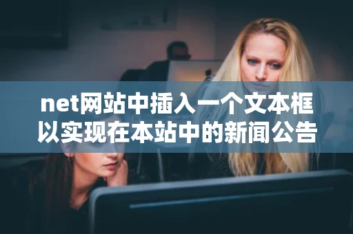 net网站中插入一个文本框以实现在本站中的新闻公告搜索如何做