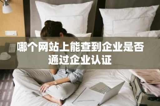 哪个网站上能查到企业是否通过企业认证