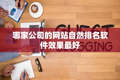 哪家公司的网站自然排名软件效果最好