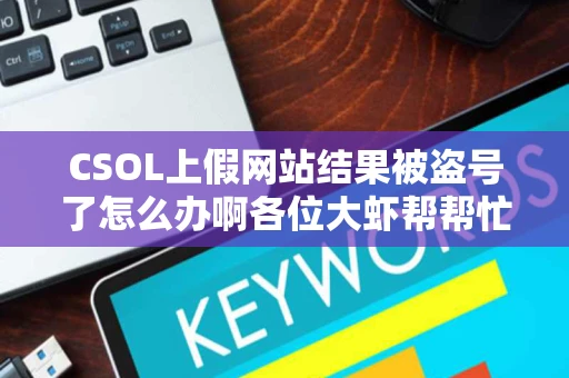 CSOL上假网站结果被盗号了怎么办啊各位大虾帮帮忙每天改密码