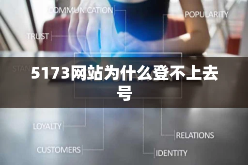 5173网站为什么登不上去号