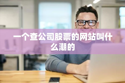 一个查公司股票的网站叫什么潮的