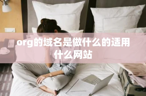 org的域名是做什么的适用什么网站