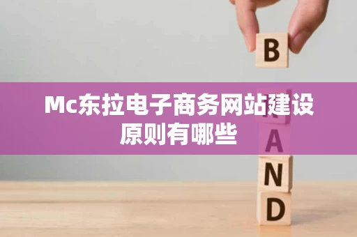 Mc东拉电子商务网站建设原则有哪些