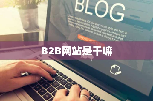 B2B网站是干嘛