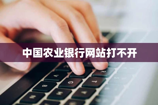 中国农业银行网站打不开