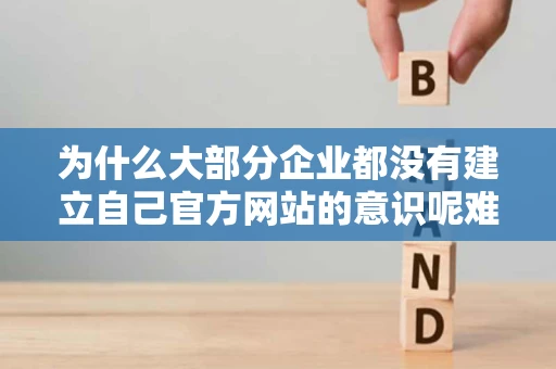 为什么大部分企业都没有建立自己官方网站的意识呢难道都是些黑