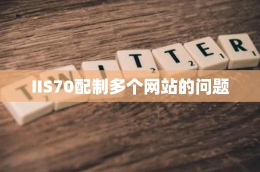 IIS70配制多个网站的问题